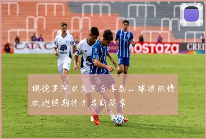 佩德罗阿尔瓦罗分享泰山球迷热情欢迎照期待开启新篇章