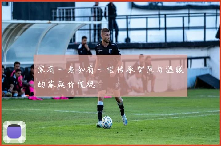 家有一老如有一宝传承智慧与温暖的家庭价值观
